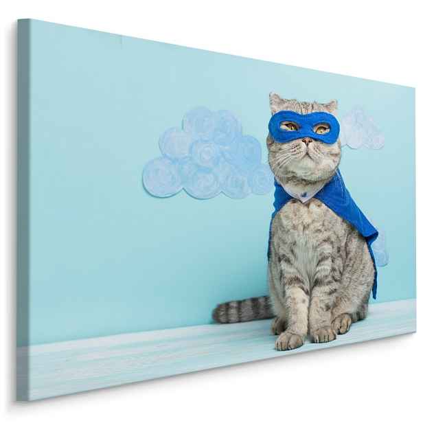 MyBestHome BOX Plátno Šedá Kočka S Maskou A Pláštěm Varianta: 120x80