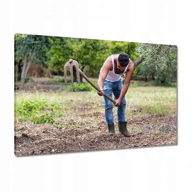 Obrazy 90x60 Chlap Muž Síla