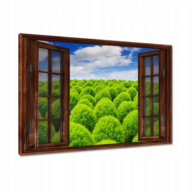 Obrazy 90x60 Zelený pohled Dolina