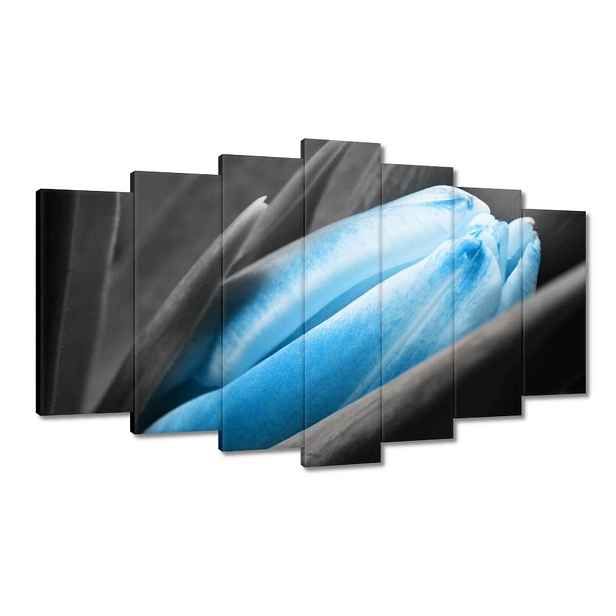 Obrazy 140x80 Modré okvětní lístky Tulipán