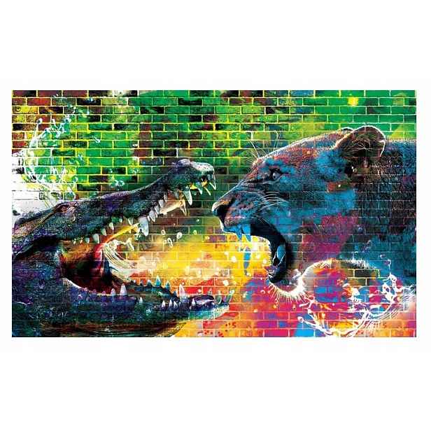 Fototapeta Mládež Graffiti Zvířata 416x254