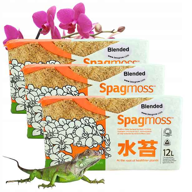 Mech Sphagnum Rašelinový Besgrow SpagMoss 3x 150g 12L Mech Spagnum Substrát