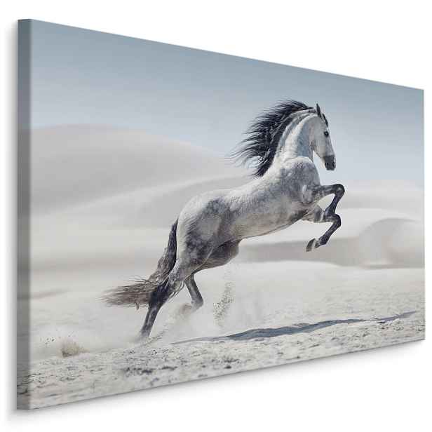 MyBestHome BOX Plátno Kůň V Poušti Varianta: 120x80