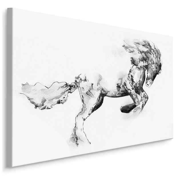 MyBestHome BOX Plátno Kůň Jak Načrtnut Varianta: 90x60