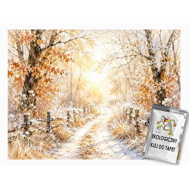 Fototapeta Flizelina Les Stromy Cesta Zima Námraza 254x184 130g
