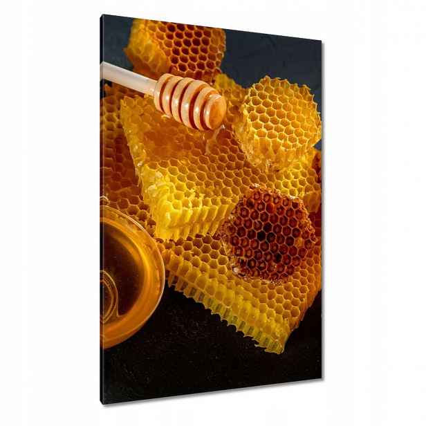 Obrazy 80x120 Med z včelího plástu