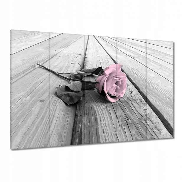 Obrazy 100x70 Pudrová růžová Old pink Rose