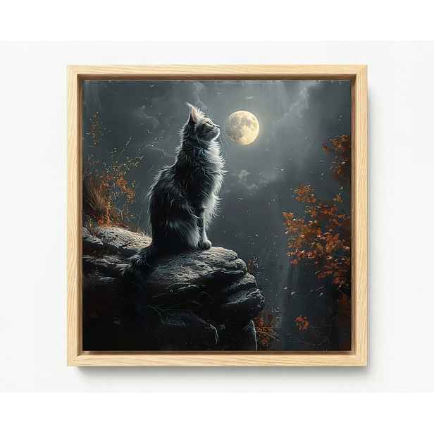 Obraz Rám Americký Box Noc Temnota Nebe Měsíc Šedý Kocour 60x60