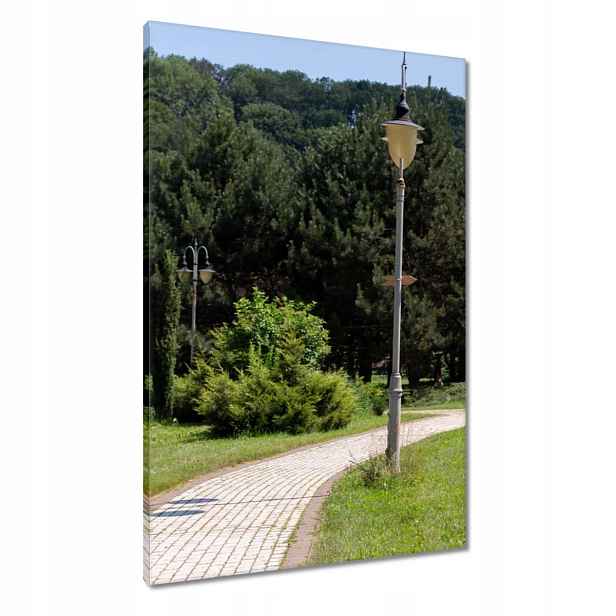 Obrazy 60x90 Zelený park se stromy