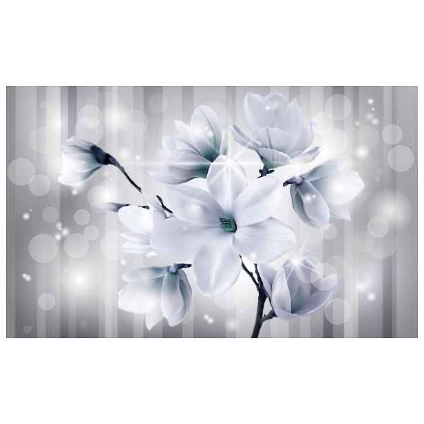 Fototapeta Magnolie Stříbrná jemnost v bílé a šedé barvě 300x210 lepidlo