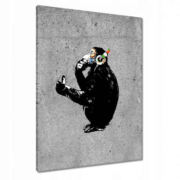 Obrazy 60x80 Dj Opice to má ráda
