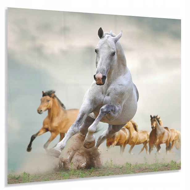 Ochranný Panel 4mm 50x60cm Dekorativní Do Kuchyně Lacobel Kalený