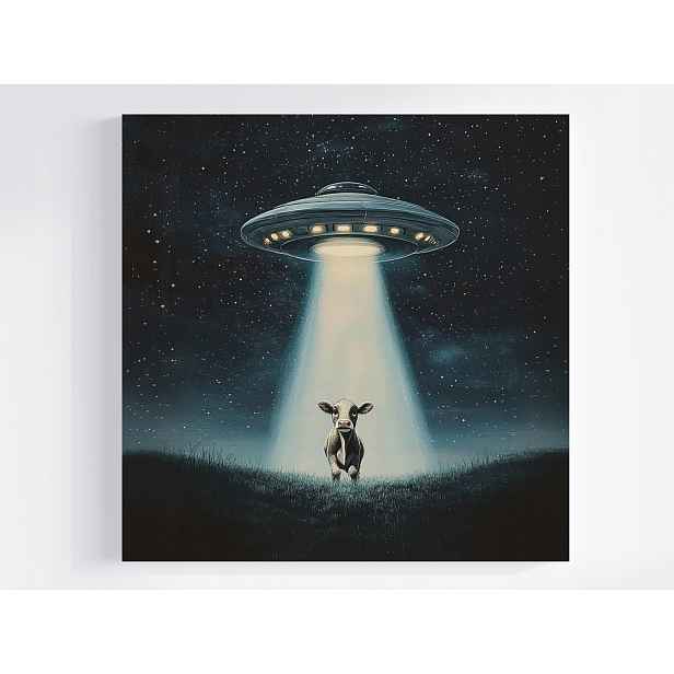 Obraz Na Plátně Canvas Noc Louka Ufo Podšálek Mimozemšťané Únos Kráva 50x50