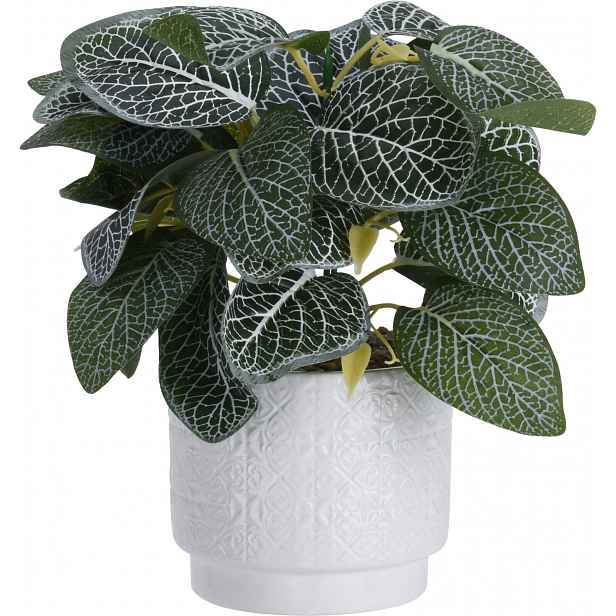 Umělá rostlina v květináči 28 cm, bílo-zelené listy