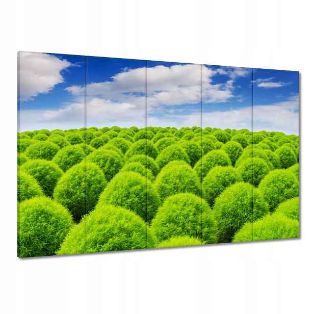 Obrazy 100x70 Zelený pohled Dolina