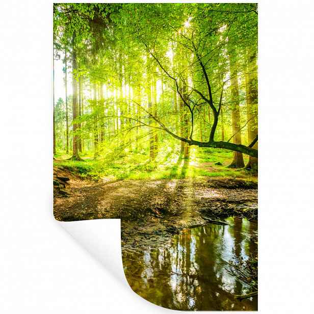 MuchoWow SAMOLEPKA NA ZEĎ Les - Krajina - Voda - Stromy - Slunce - Zeleň - Příroda 80x120 cm