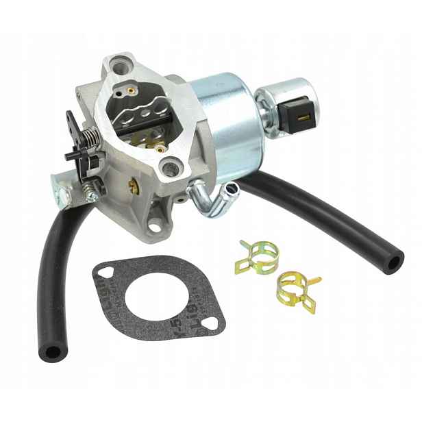 Karburátor Briggs&Stratton 496796, 499153, 591736, 594601, 594605 695412 79