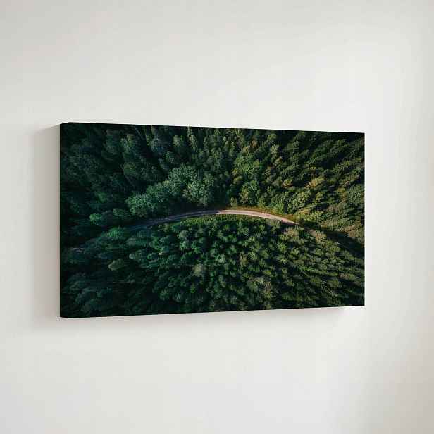 Obraz na plátně Les příroda na zeď 70x50 cm