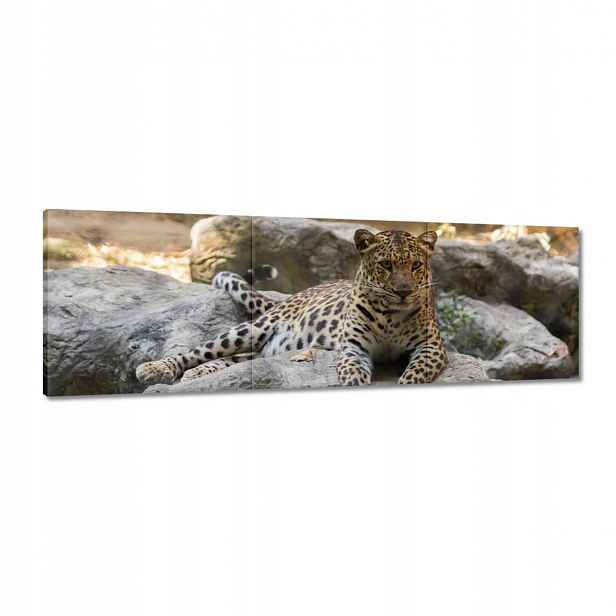 Obrazy 120x40 Leopard