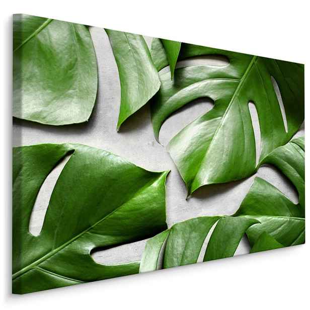 MyBestHome BOX Plátno Monstera Listy Na Šedém Pozadí Varianta: 120x80