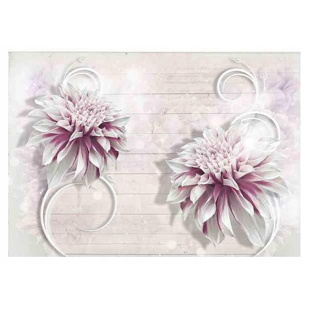 Fototapeta Bílo-růžové květiny 3D perspektiva elegance 200x140 lepidlo