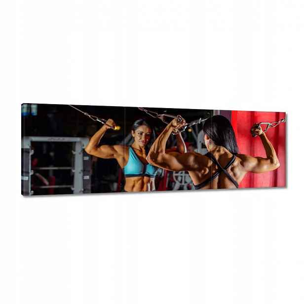 Obrazy 120x40 Fittness Posilovna Síla
