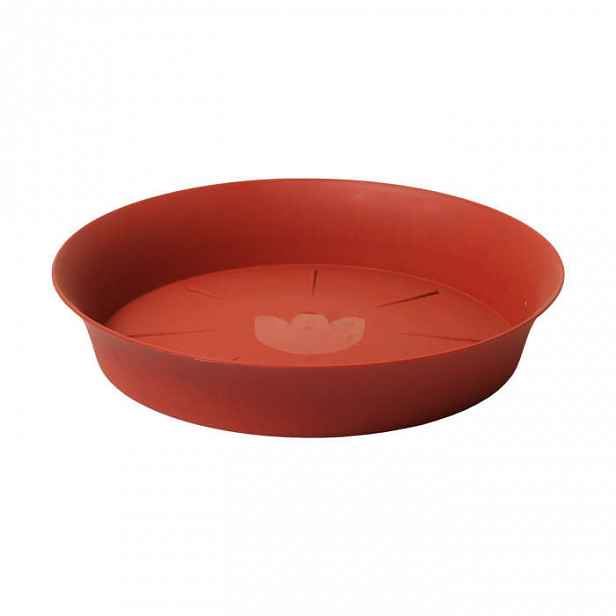 Podmiska plastová tulipán terakota 24cm