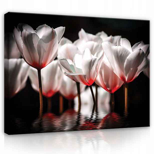 Obraz Květiny Tulipány Na Plátně Stěna Moderní Ložnice Velký 100x70