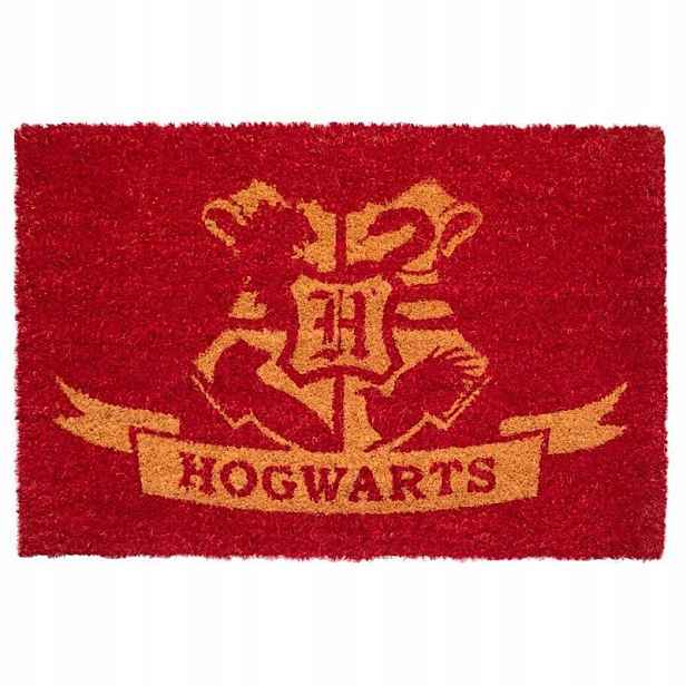 Harry Potter Rohožka (40 x 60 cm)