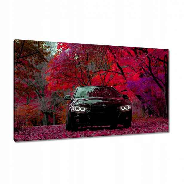 Obrazy 120x70 Černé Bmw Podzim