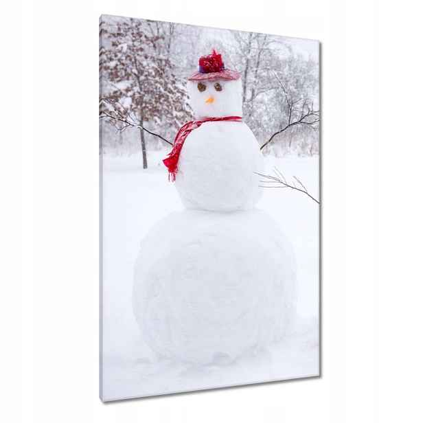 Obrazy 80x120 Sněhuláci Zima Sníh Bílá