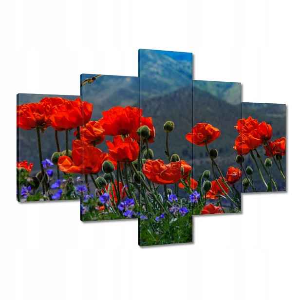 Obrazy 100x70 Červené máky Květiny
