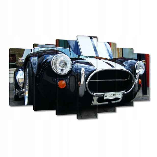 Obrazy 140x80 Cobra 427