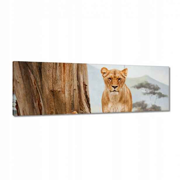 Obrazy 120x40 Lvice v Africe