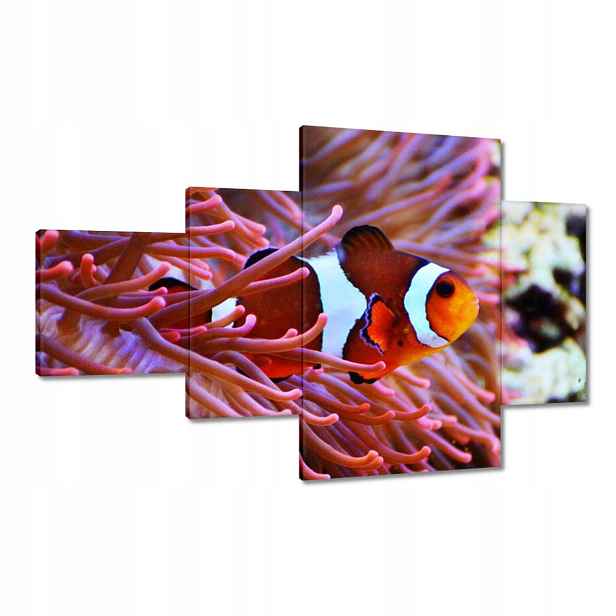 Obrazy 130x80 Oranžová rybka Rafa