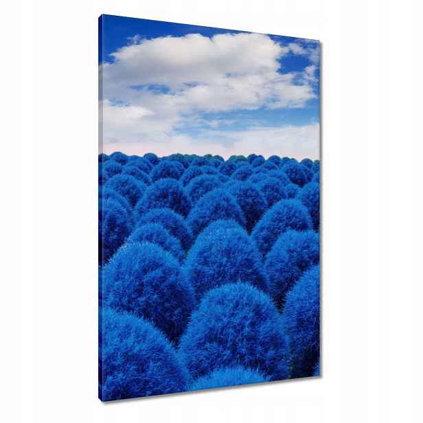 Obrazy 60x90 v klasické modré barvě