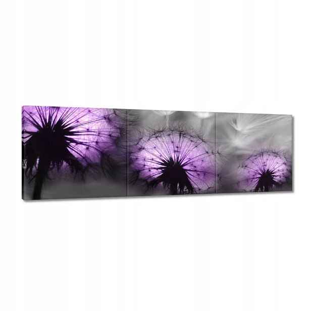 Obrazy 120x40 Odraz ve vodě Létající