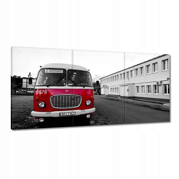 Obrazy 180x90 Červený Jelcz Okurka