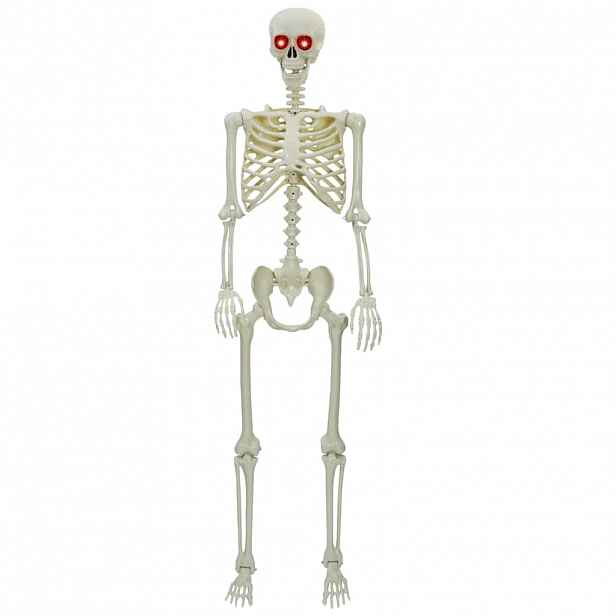 vidaXL Halloween kostlivec Bílá 155 x 38,5 cm Polypropylen