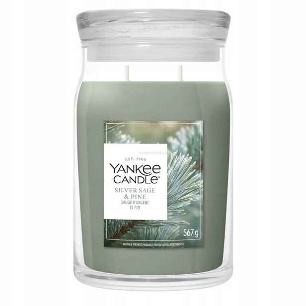 Yankee Candle Silver Sage & Pine – velká vonná svíčka 567 g
