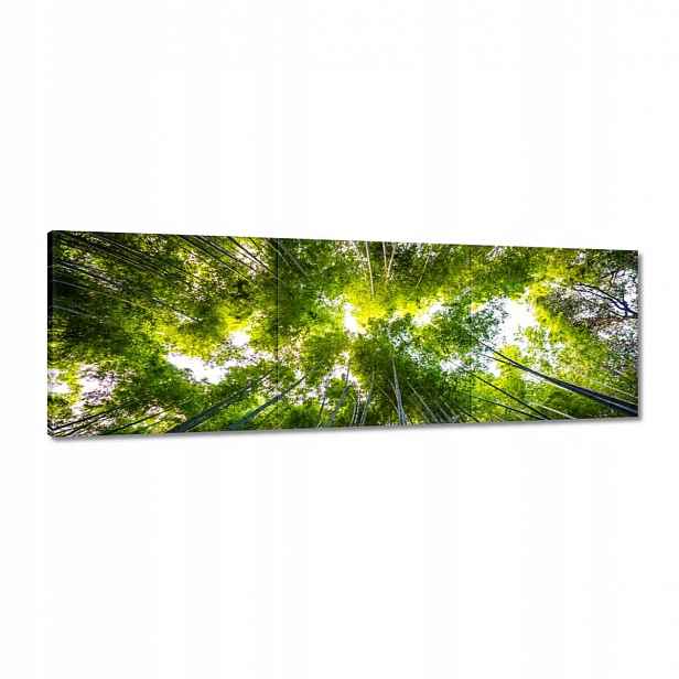 Obrazy 120x40 Bambusový tropický les