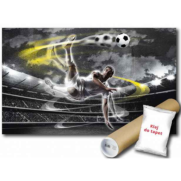Vinylová fototapeta Fotbalista Zápas Fotbal 152x104