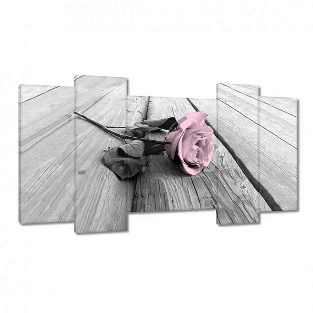 Obrazy 120x65 Pudrová růžová Old pink Rose