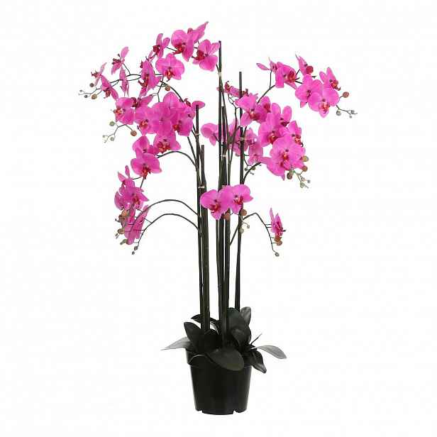 ORCHIDEJ