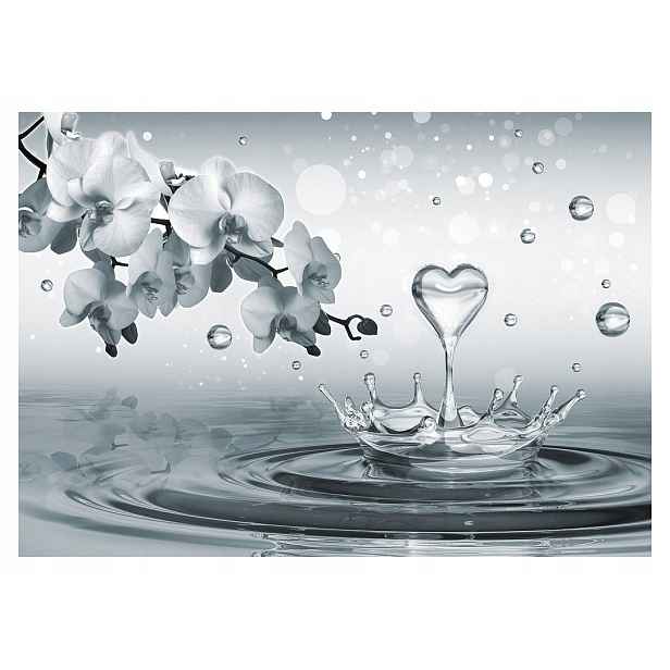 Fototapeta flizelina Orchidej Bílá elegance v kapkách rosy 300x210 lepidlo