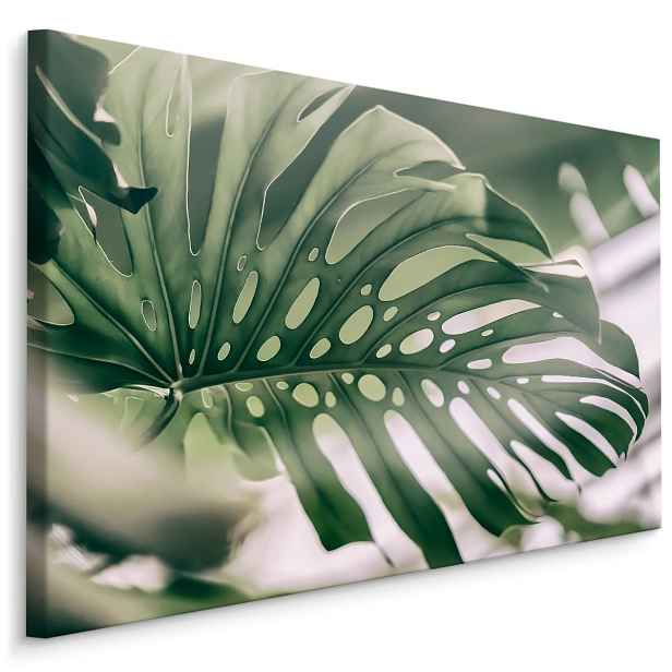 MyBestHome BOX Plátno Monstera List Zblízka Varianta: 100x70
