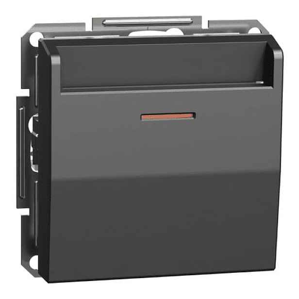 Schneider Electric Asfora spínač pro hotelové karty, antracit EPH6200171
