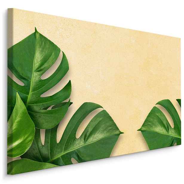 MyBestHome BOX Plátno Monstera Listy Na Béžovém Pozadí Varianta: 40x30