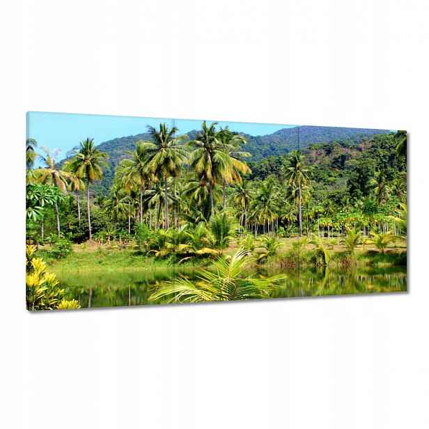 Obrazy 120x60 Krásná amazonka