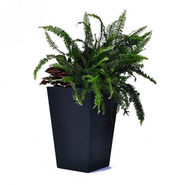 Šedý zahradní květináč Keter Kind, výška 57 cm